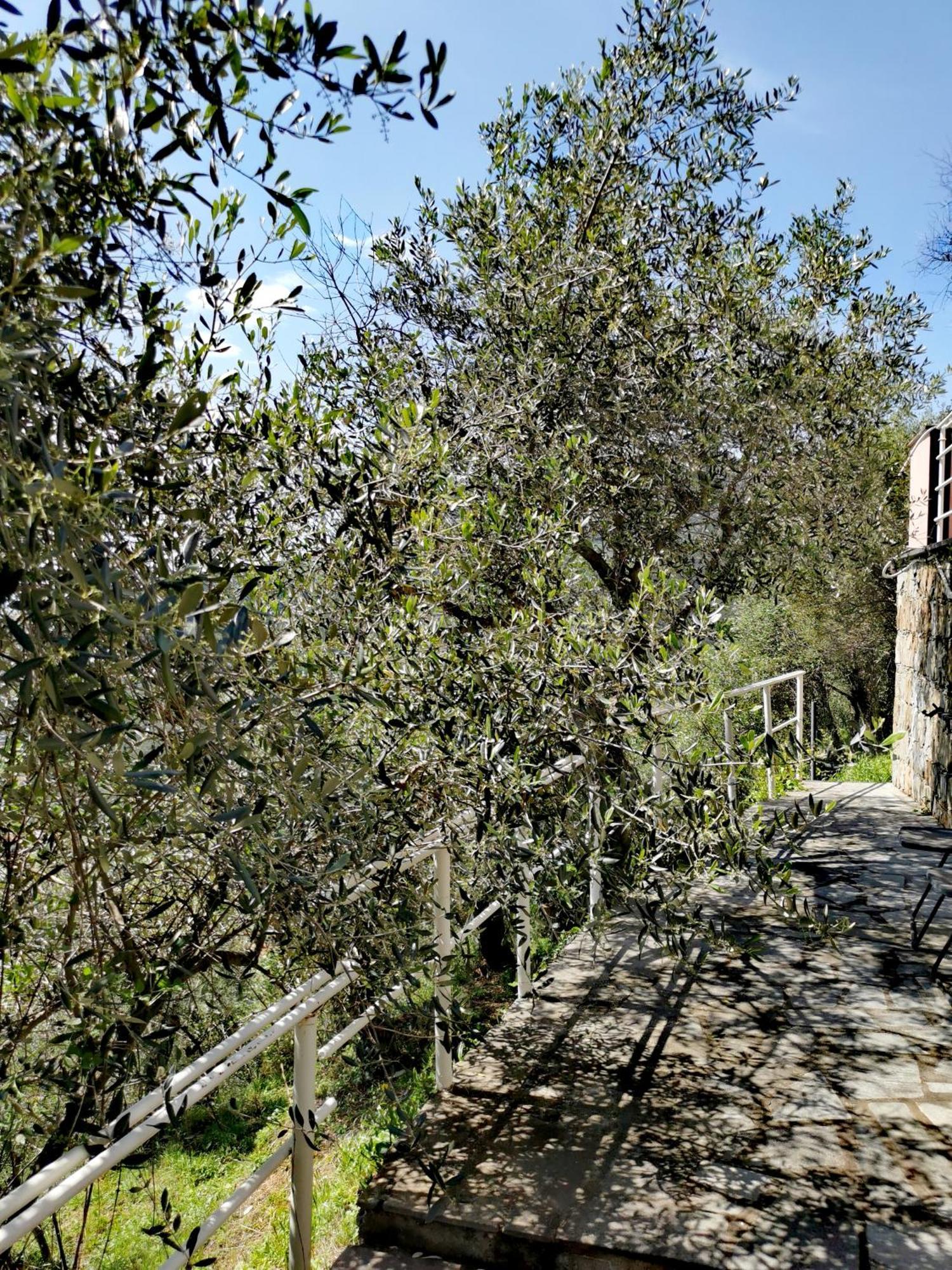 Casun Du Menegottu Villa Sestri Levante Exterior photo